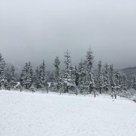 Gaestehaus Mira Winterberg Exteriör bild
